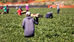 EU struggles with worker mobility as Greece remains among the laggards