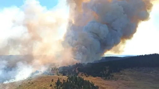 Forest fire smoke far deadlier than previously estimated, study finds