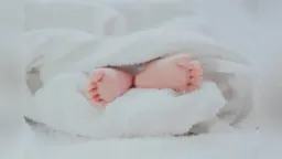 Rhodope faces demographic collapse – Births down by 54.3% in a decade