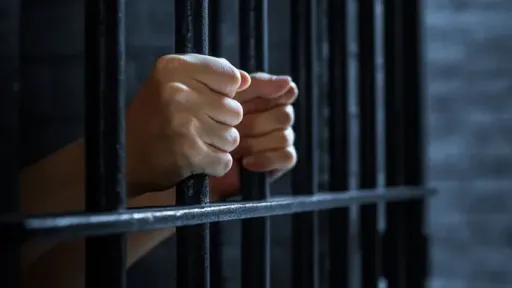 Over 120,000 arrested for various offenses in 2024 – Foreigners make up 55% of prison inmates