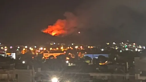 Forest fire sparks panic in Koyunköy, İskeçe