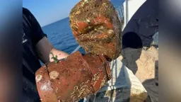 Over 500,000 illegal octopus traps found on the seabed of the Thracian Sea