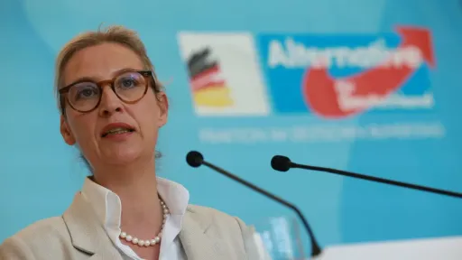 Far-right AfD triples support in German local vote, sparking concerns