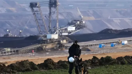 Nearly 150 environmental activists killed or disappeared in 2024