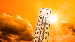 Climate change linked to 16,500 heat-related deaths across Europe this summer