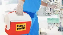 Greece breaks records in organ donations, transplants