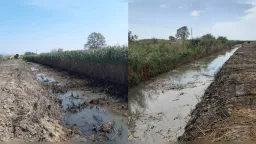 Ongoing flood protection efforts in Rhodope – Stream cleaning in Balabanköy