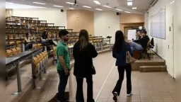 Education Ministry: 335,000 “Eternal Students” to be removed – How the process will work