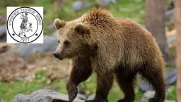 İskeçe Hunters’ Club issues bear warning