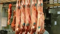 Slaughter ban imposed in Western Thrace amid ongoing sheep and goat pox outbreak