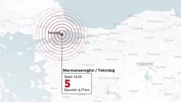5.0 magnitude earthquake strikes Türkiye's Sea of Marmara
