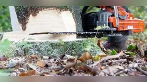 80-year-old man dies tragically while cutting wood