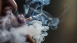 1 in 5 adults still hooked on tobacco despite global decline: WHO