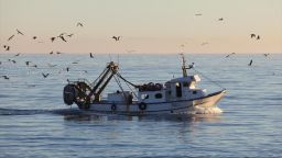 Kavala – Thrace: Greece’s “Great fishing ground”