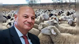 National committee to be established for control of sheep pox disease