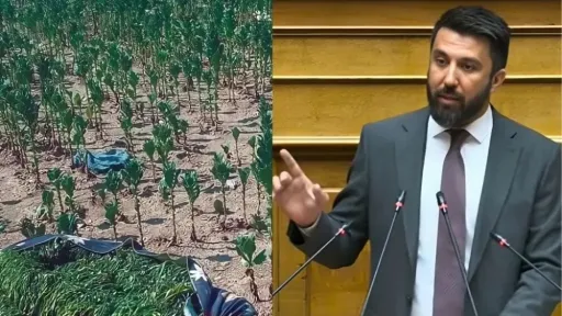 MP Özgür Ferhat raises economic losses of tobacco producers in parliament