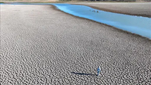 Most countries fall short on updated climate plans: UN report