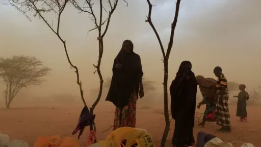 Heat kills one person every minute worldwide, Lancet report warns