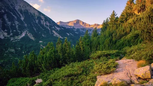 Bulgarian man missing for 17 years found alive in Pirin National Park