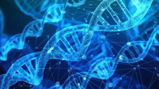 European scientists create DNA tool that can predict age within three years