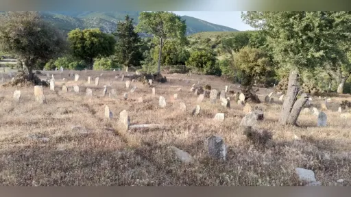 Investigation launched over unauthorized cleaning of village cemetery