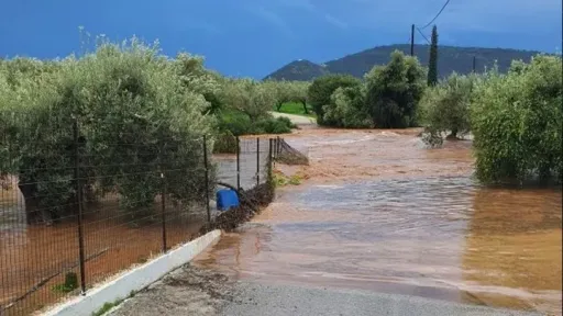 Risk Assessment Committee convenes on adverse weather phenomena on Saturday