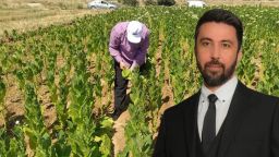 MP Özgür Ferhat criticizes agricultural payment delays: “We are here to stop this political course”