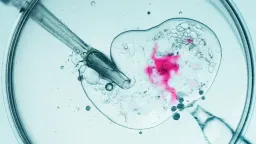 Cancer-linked gene from Danish sperm donor found in four children in Greece