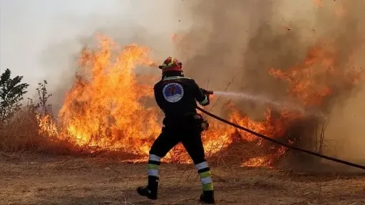 EU records largest wildfire loss on record with over 1 million hectares burned in 2025