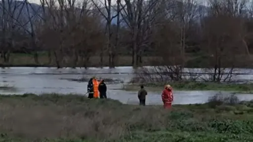 Search continues for missing farmer in Rodopi