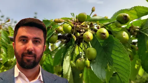 Ferhat slams ‘Unjustified’ delay in compensation for Rodopi cherry growers