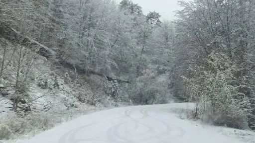 Cold wave brings snow, strong winds to Greece