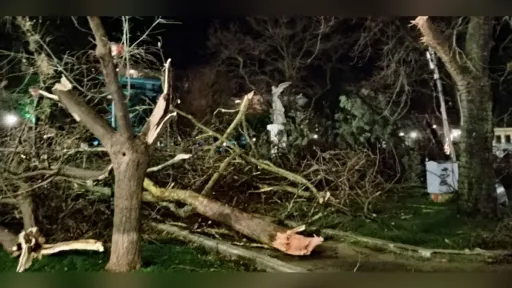 Severe storm hits Dedeağaç causing widespread damage