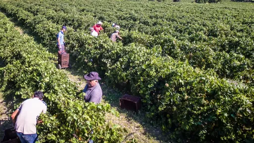 Greece to admit up to 95,000 foreign workers under new migration bill