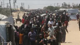 Over 230,000 women, girls in Gaza face limited health access amid continued Israeli violence: UN