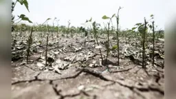 Climate assessment 2025 in Greece: Rising temperatures, less snowfall and worsening drought