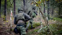 Multiple Dutch soldiers under probe over far-right views