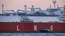 Low demand seen for gas transport via vertical corridor