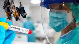 Nipah virus prompts quarantine in west bengal, India