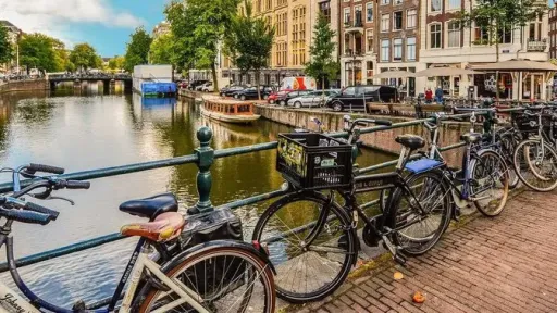 Amsterdam to ban meat and fossil fuel advertising