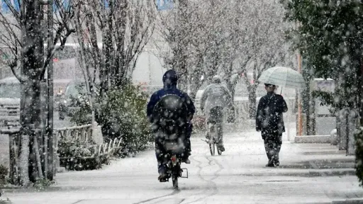 Heavy snowfall in Japan claims 30 lives