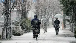 Heavy snowfall in Japan claims 30 lives