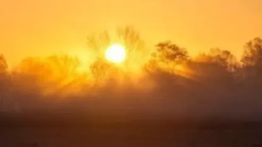 January 2026 ranks among warmest on record despite Northern Hemisphere cold waves