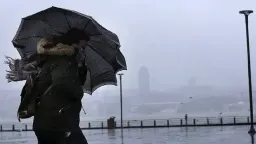 Heavy rain, thunderstorms and winds up to 8 Beaufort expected