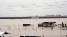 Main levee collapse on Meriç River puts villages at risk in Meriç