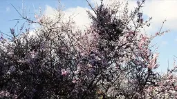 Unseasonably warm weather sweeps Greece and the Balkans