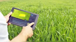 Farmers in İskeçe warn of subsidy losses over satellite “monitoring” system