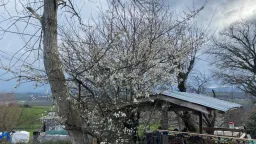 Spring-like weather continues across Greece