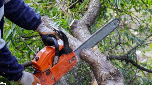 Şükrü Davut, Principal of Yassıköy Minority Primary School, dies in tree-cutting accident