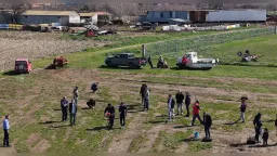 Community tree planting in Amaranta draws volunteers of all ages